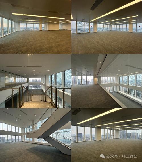 張江高科集鼎天地 上海集成電路設(shè)計(jì)產(chǎn)業(yè)園引領(lǐng)芯潮澎湃與軟件開發(fā)新未來